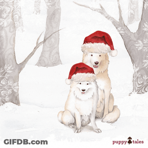 Two White Santa Christmas Dogs GIF