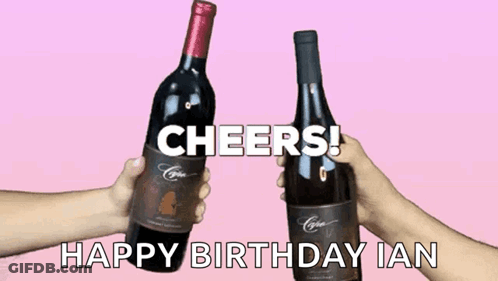 Two Wine Bottles On Pink Background GIF