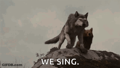 Two Wolves Are Standing On Top Of A Rock With The Words `` We Sing '' . GIF