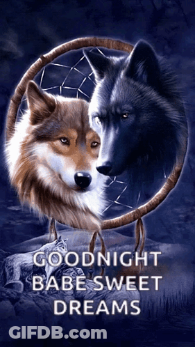 Two Wolves Dream Catcher Goodnight Babe Sweet Dreams GIF