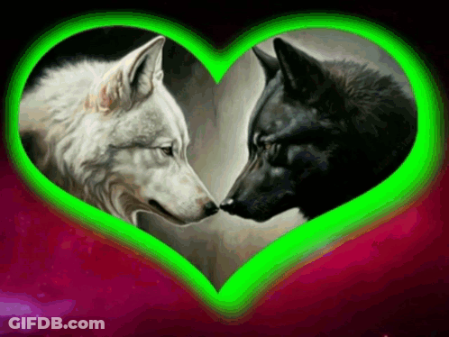 Two Wolves Facing Each Other With Green Heart GIF