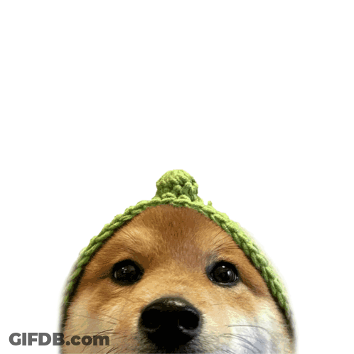 Two Wolves Hugging With Signature GIF