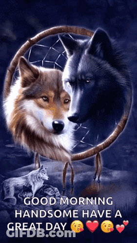 Two Wolves In Dream Catcher Good Morning Handsome Have A Great Day GIF