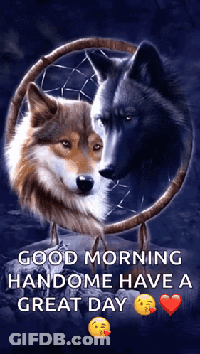 Two Wolves In Front Of Dream Catcher GIF