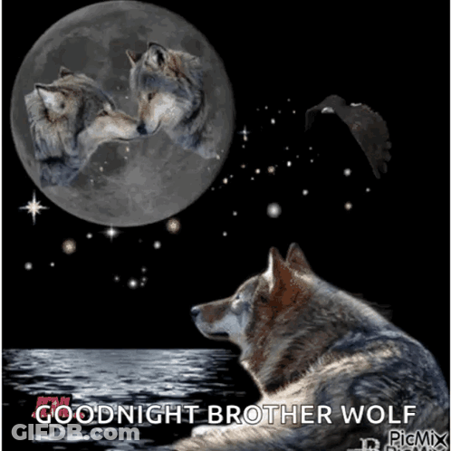 Two Wolves Kissing In Front Of Full Moon Goodnight Brother Wolf GIF