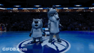 Two Wolves Mascots On Basketball Court GIF