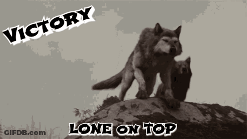 Two Wolves On A Rock With The Words Victory Lone On Top Above Them GIF