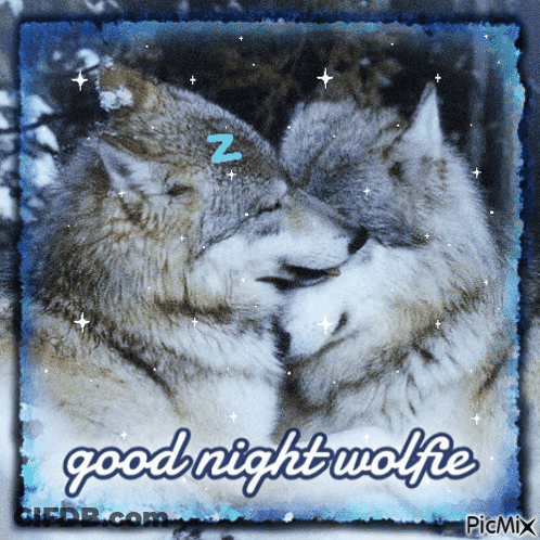 Two Wolves Sleeping Good Night Wolfie GIF