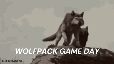Two Wolves Standing On Rock Wolfpack Game Day GIF