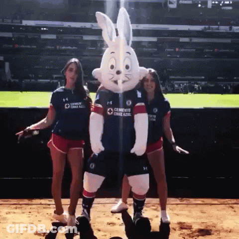 Two Women And Bunny Mascot Saying Cement GIF