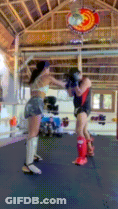 Two Women Are Fighting In A Boxing Ring With A Sign Above Them That Says ' Fighting Club ' GIF