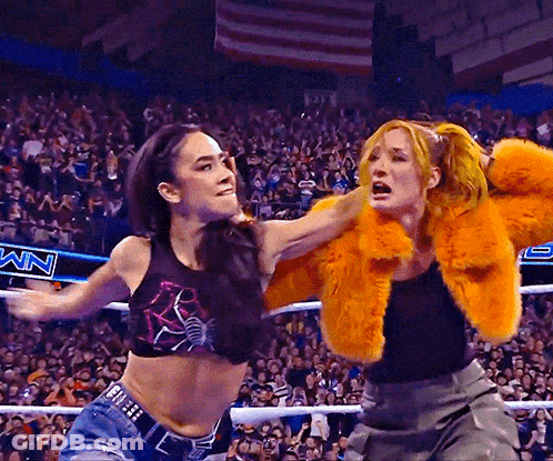 Two Women Are Fighting In A Wrestling Ring With A Sign That Says ' Nm ' On It GIF