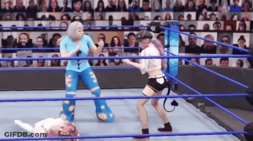 Two Women Are Fighting In A Wrestling Ring With A W Logo On The Corner GIF