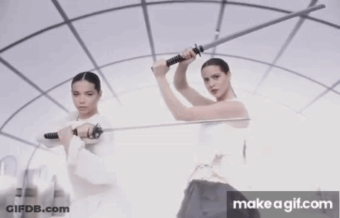 Two Women Are Holding Swords In Front Of A Mirror . GIF