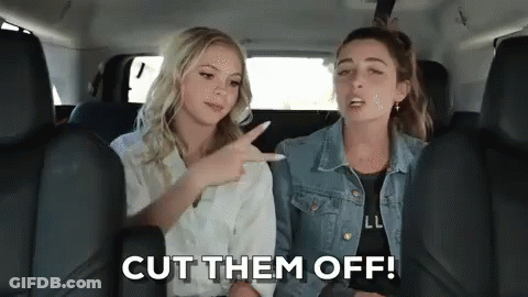 Two Women Are Sitting In The Back Seat Of A Car . One Of The Women Is Pointing At The Other . GIF