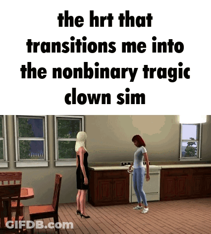 Two Women Are Standing In A Kitchen With The Words The Hrt That Transitions Me Into The Nonbinary Tragic Clown Sim GIF