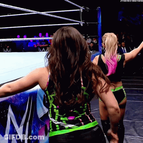Two Women Are Standing In A Wrestling Ring With Their Arms Outstretched And The Words " The Next Thing " On The Bottom R GIF