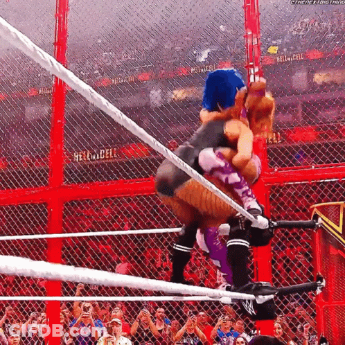 Two Women Are Wrestling In A Ring With A Crowd Behind Them And A Sign That Says Hell In A Cell GIF