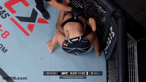 Two Women Wrestling In UFC Cage GIF