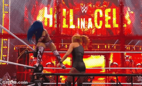 Two Women Are Wrestling In A Wrestling Ring With A Sign That Says Hell In A Cell In The Background . GIF