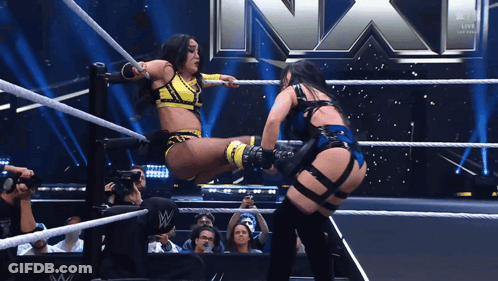 Two Women Are Wrestling In A Wrestling Ring With A Wwe Logo Behind Them GIF