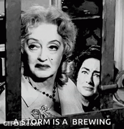 Two Women Behind Fence A Storm Is A Brewing GIF