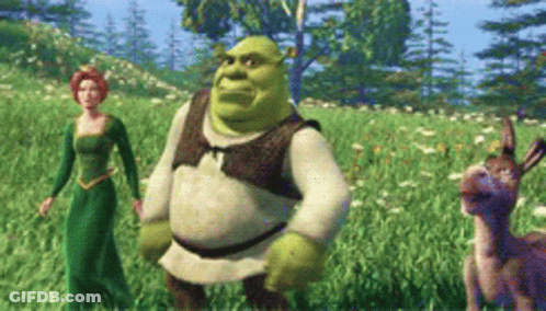 Two Women Dancing Happy Birthday Fiona GIF