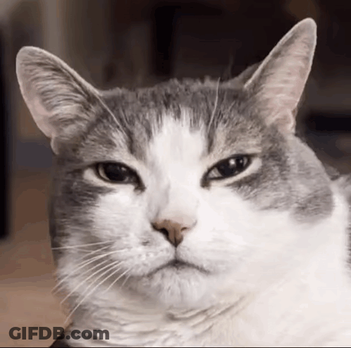 Two Women Dancing In Club Say Girls Night Lets Do This GIF