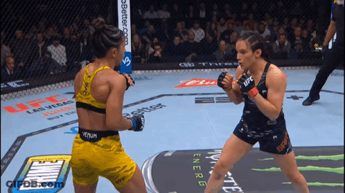 Two Women Fighting In Boxing Ring One Wearing Venum Top GIF