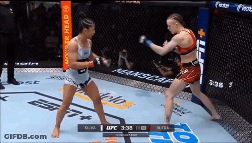 Two Women Fighting In Boxing Ring With Power Head Banner GIF