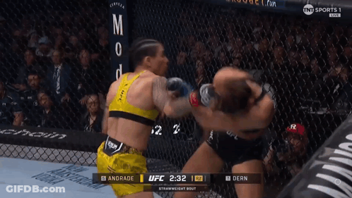 Two Women Fighting In Cage With UFC Logo GIF