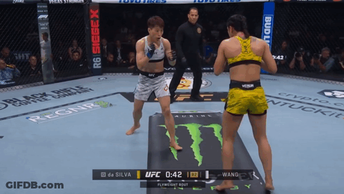 Two Women Fighting In Monster Boxing Ring GIF