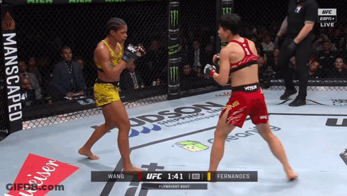 Two Women Fighting In UFC Ring With Budweiser Ad GIF