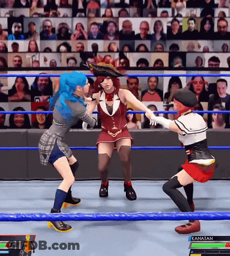 Two Women Fighting In Wrestling Ring Kanatan GIF