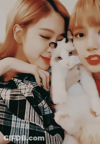 Two Women Holding A White Cat In Their Arms GIF
