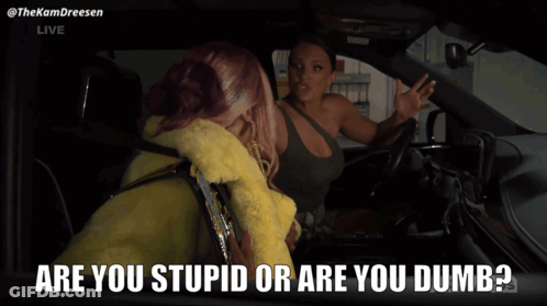 Two Women In A Car With The Words " Are You Stupid Or Are You Dumb " On The Bottom GIF