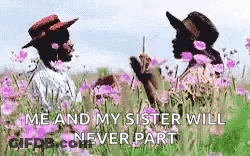 Two Women In Hats Are Standing In A Field Of Flowers . GIF