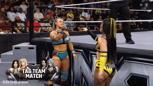 Two Women In Wrestling Ring Tag Team Match GIF