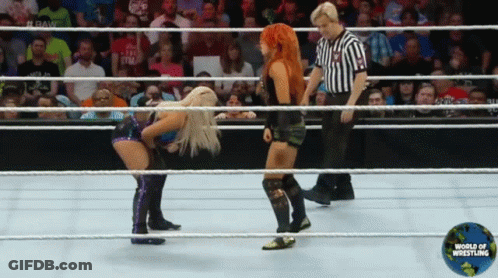 Two Women In Wrestling Ring With World Of Wrestling Logo GIF