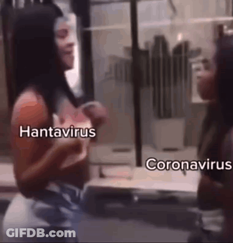 Two Women Next To Hantavirus And Coronavirus GIF