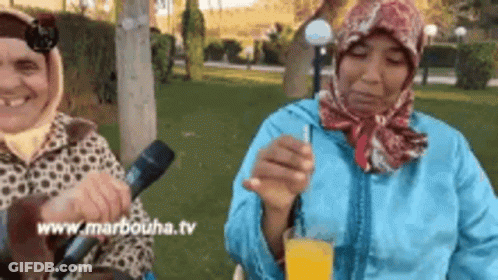 Two Women Sitting In Park With Microphone And Orange Juice GIF