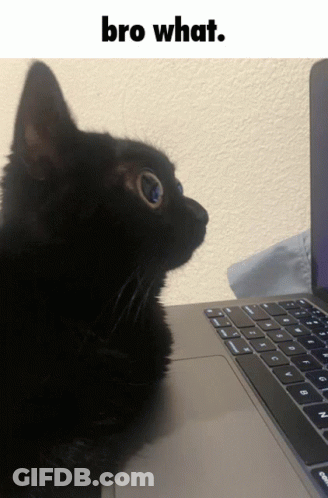 Two Women When No One Is Listening GIF