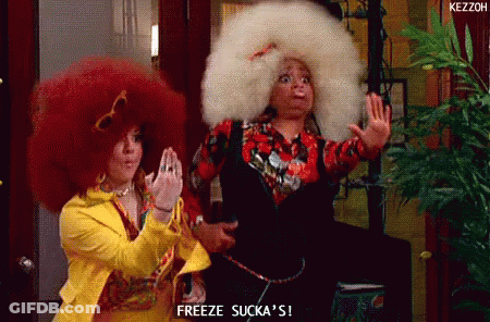 Two Women With Big Afros Saying Freeze Sucka GIF