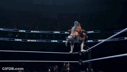 Two Women Wrestling In A Ring With PPG Water Bottle GIF