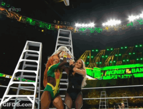 Two Women Wrestling In Front Of Money Ban Sign GIF