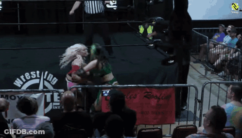 Two Women Wrestling In Front Of Wrestling Sign GIF