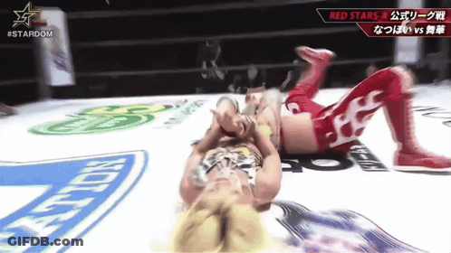 Two Women Wrestling In Ring GIF