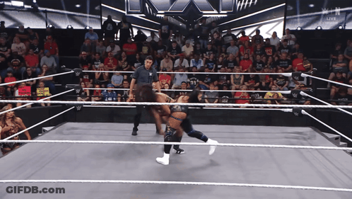 Two Women Wrestling In Ring No Weapons Sign GIF
