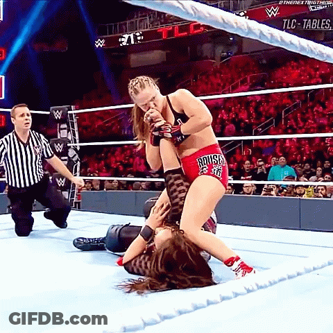 Two Women Wrestling In Ring GIF
