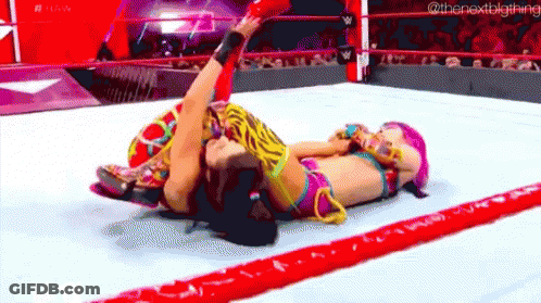 Two Women Wrestling In Ring GIF